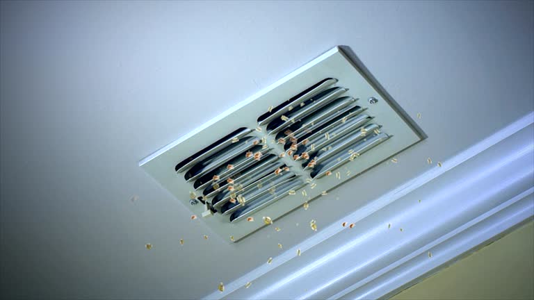Best Affordable HVAC Duct Cleaning  in Orofino, ID