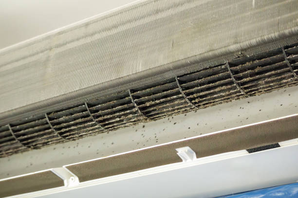 Best HVAC Duct Inspection Services  in Orofino, ID